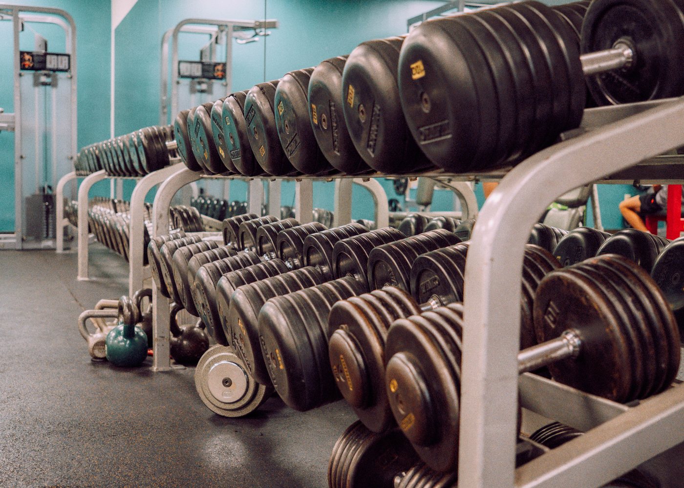 Dumbbells and plate storage along the wall
